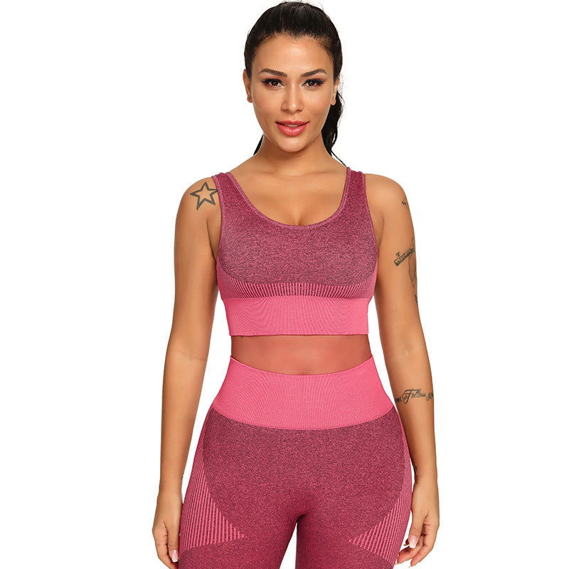 Yoga Set 2 Piece Women Tracksuit Fitness Suit Bra - CHRISTDEST GLOBAL SERVICE