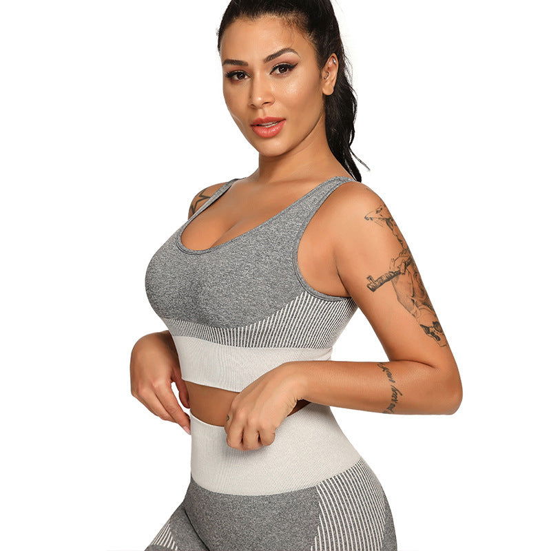 Yoga Set 2 Piece Women Tracksuit Fitness Suit Bra - CHRISTDEST GLOBAL SERVICE