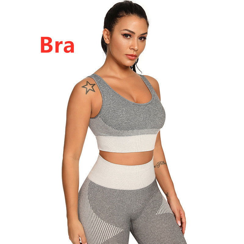 Yoga Set 2 Piece Women Tracksuit Fitness Suit Bra - CHRISTDEST GLOBAL SERVICE