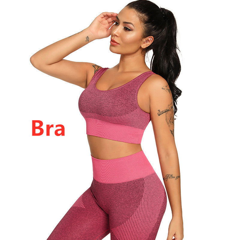 Yoga Set 2 Piece Women Tracksuit Fitness Suit Bra - CHRISTDEST GLOBAL SERVICE